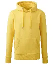 am001_yellow_ft.webp