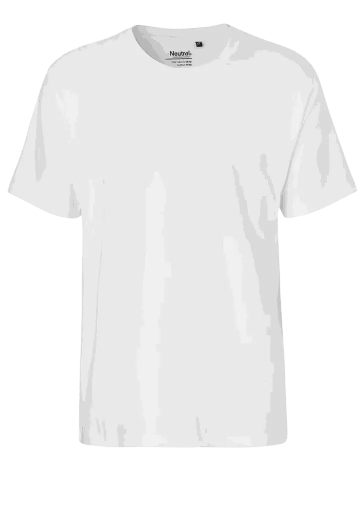 6.webp