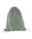 wm160_dustygreen_ft.webp