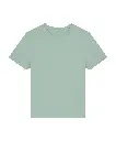 sx234_aloe_ft.webp