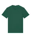 sx236_bottlegreen_ft.webp