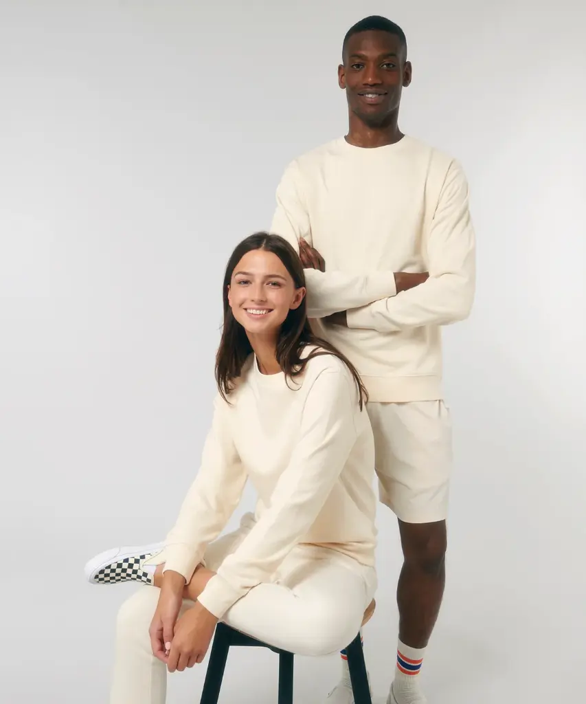 Unisex sweatshirt (STSU799)
