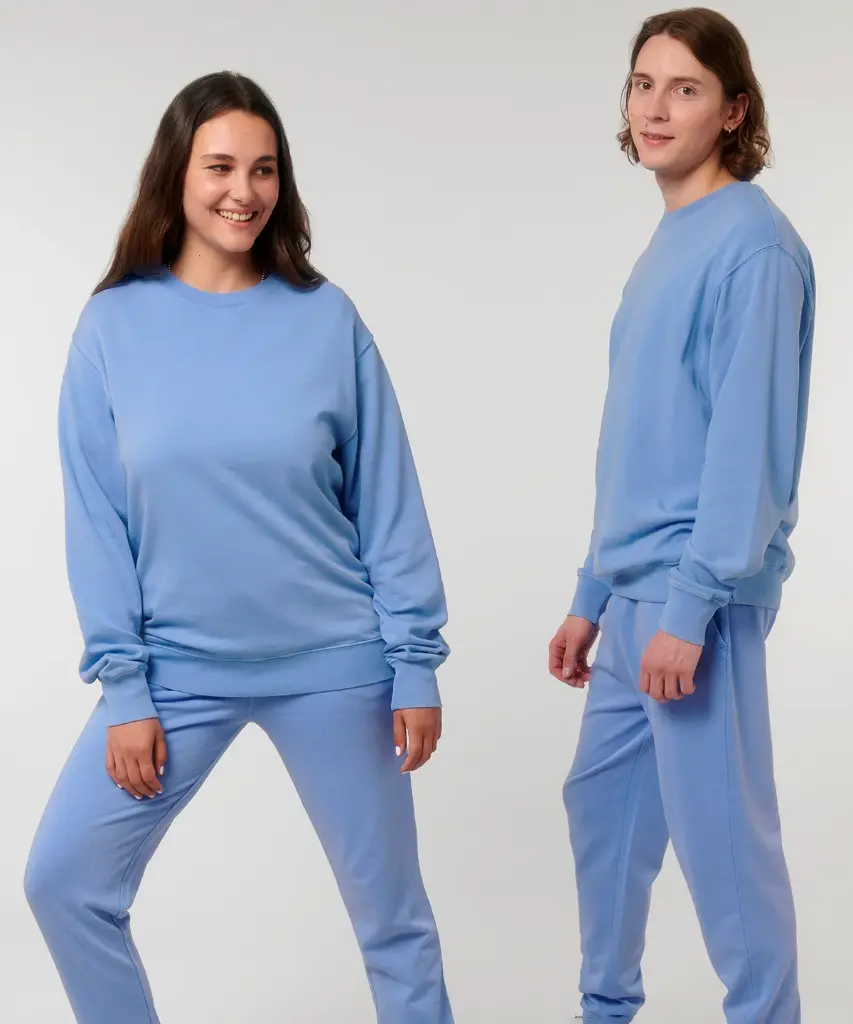 Unisex Vintage sweatshirt (STSU085)