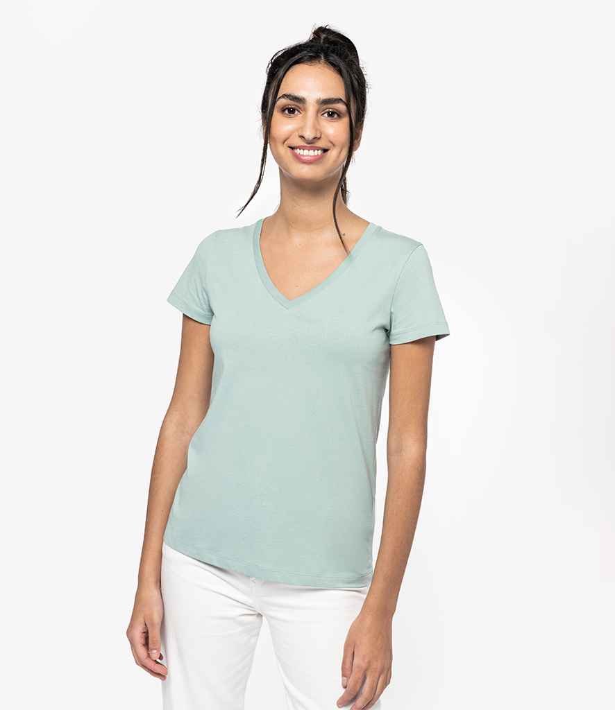 Native Spirit Ladies V Neck T-Shirt NS334