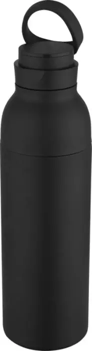 Insulated Water Bottle | 650ml | Recycled Steel♻️
