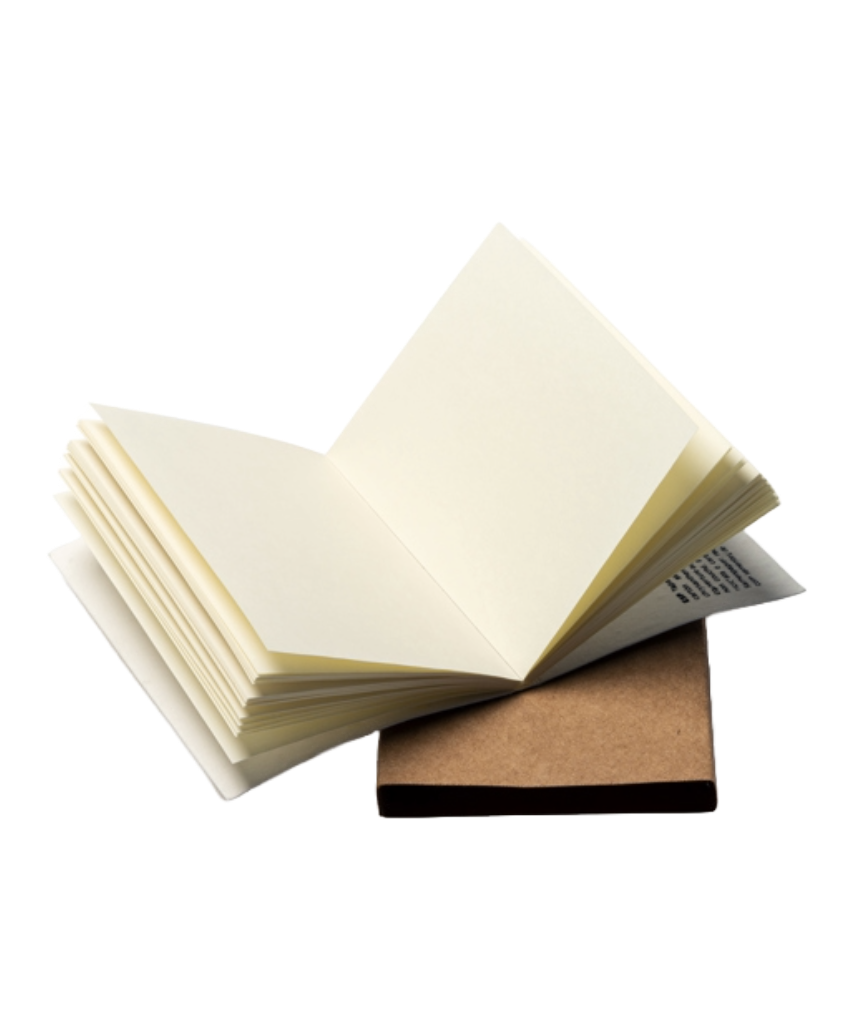 Recycled Biodegradable Seeded Notepad. 